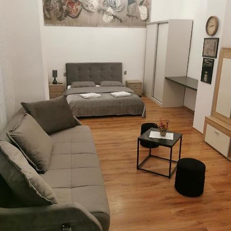 Central Designer Flat 오라데아 외부 사진