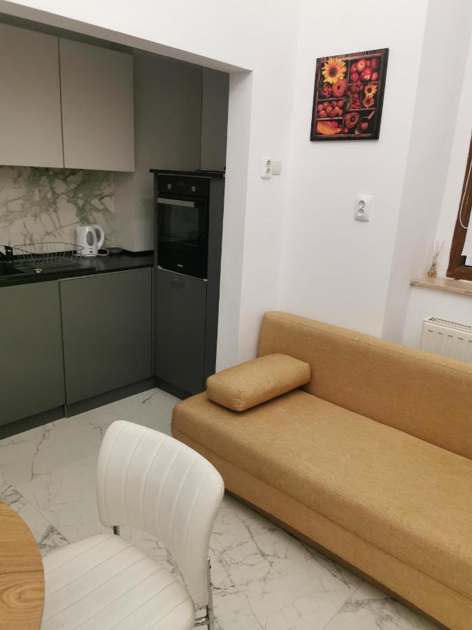 Central Designer Flat 오라데아 외부 사진