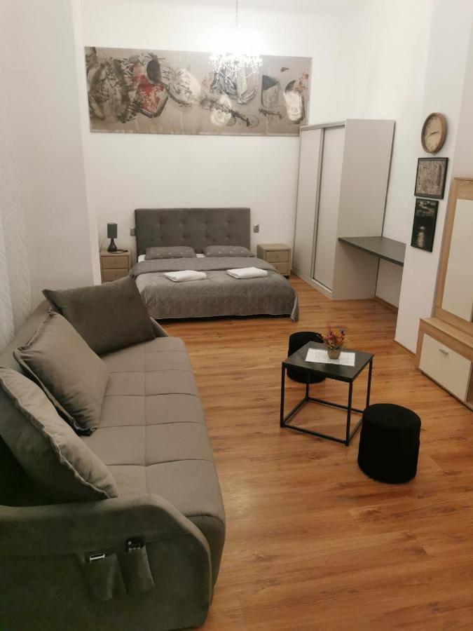Central Designer Flat 오라데아 외부 사진