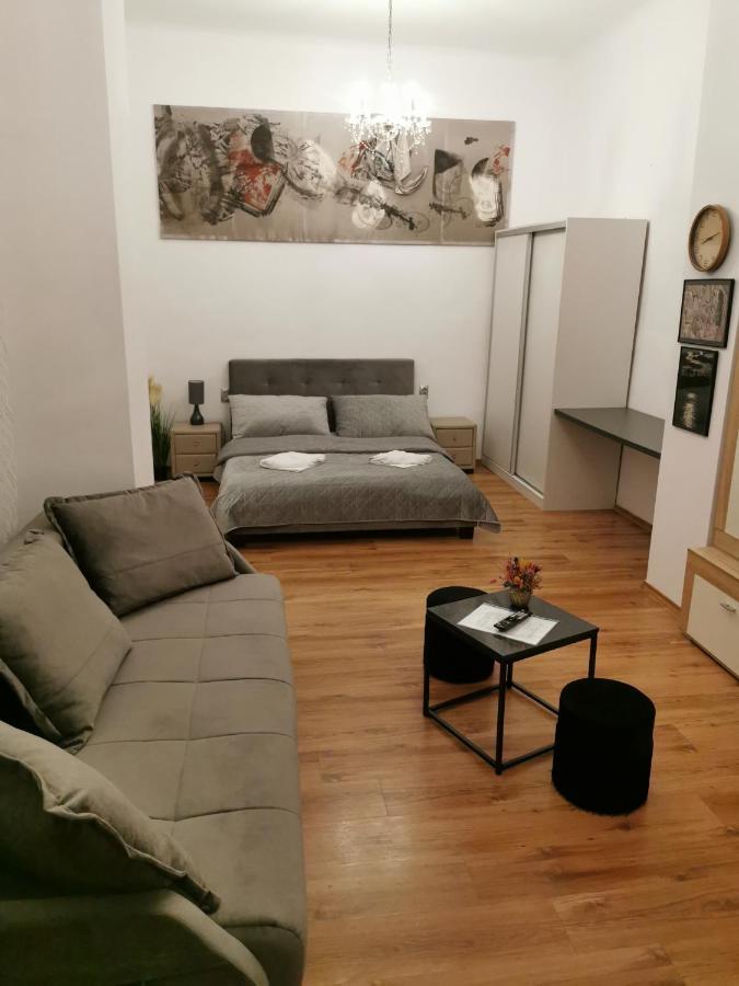 Central Designer Flat 오라데아 외부 사진